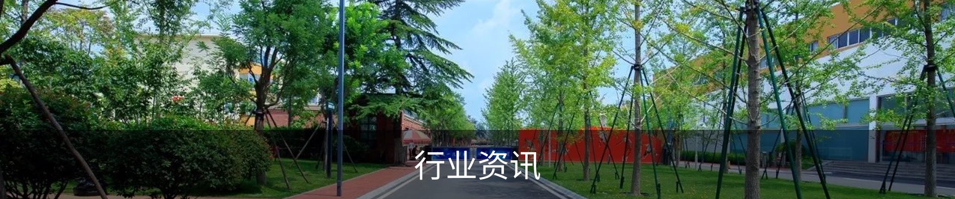 行业资讯